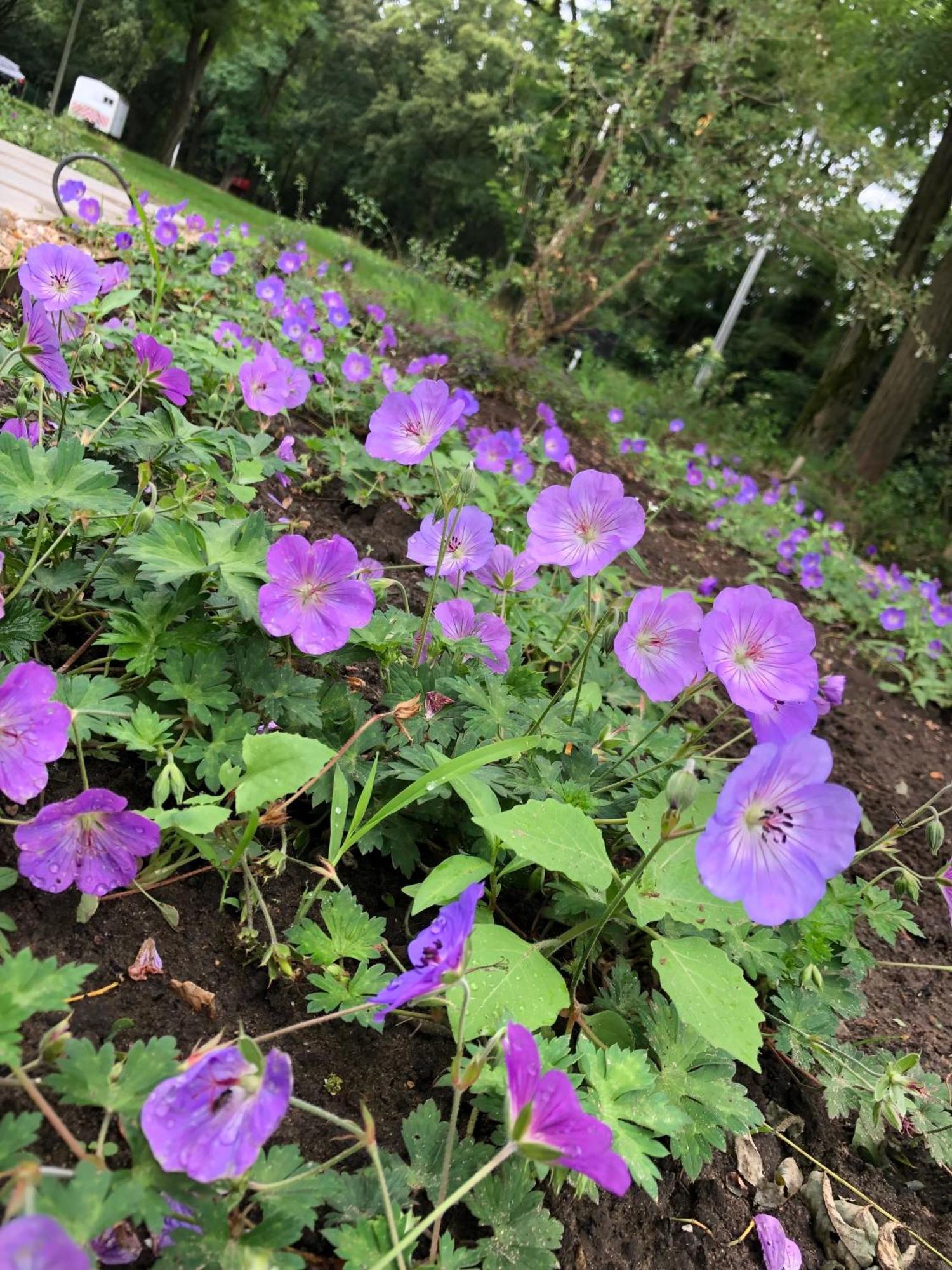 Huis Vanellus 하셀트 외부 사진